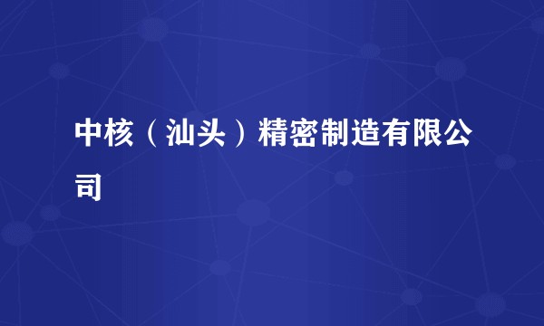 中核（汕头）精密制造有限公司