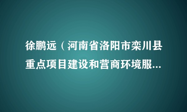 徐鹏远（河南省洛阳市栾川县重点项目建设和营商环境服务中心副主任）