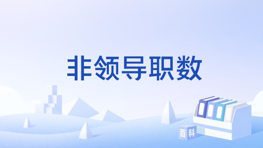 非领导职数