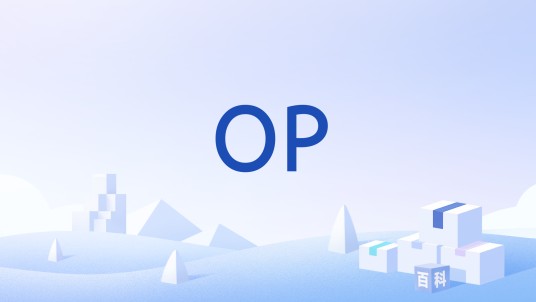 OP（操作码英文缩写）