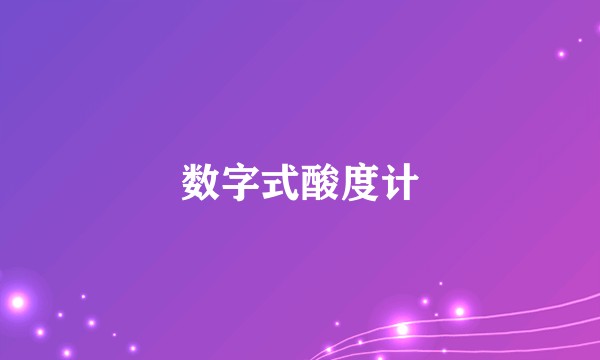 数字式酸度计