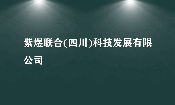 紫煜联合(四川)科技发展有限公司