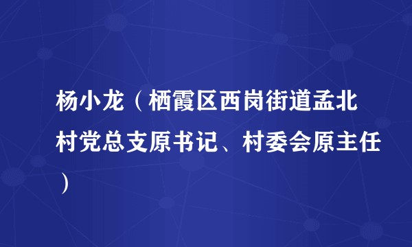 杨小龙（栖霞区西岗街道孟北村党总支原书记、村委会原主任）