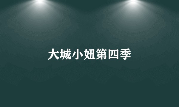 大城小妞第四季
