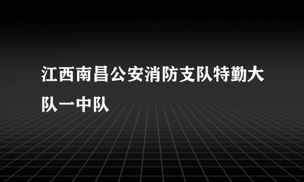 江西南昌公安消防支队特勤大队一中队