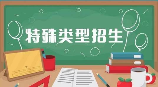 特殊类型批