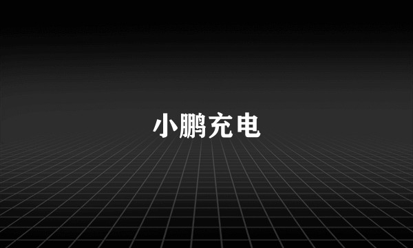 小鹏充电