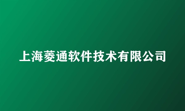 上海菱通软件技术有限公司