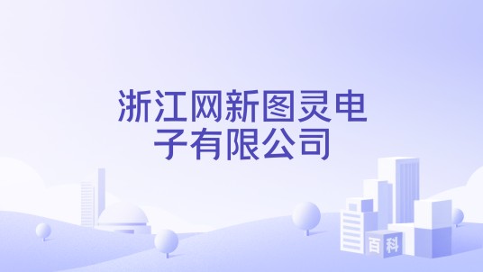 浙江网新图灵电子有限公司