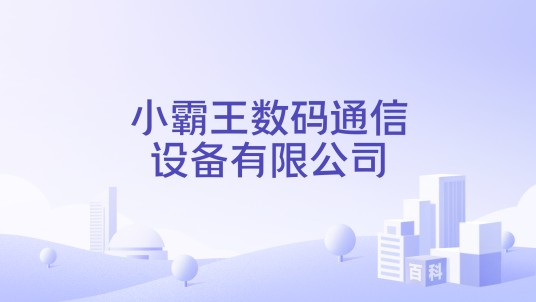 小霸王数码通信设备有限公司