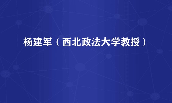 杨建军（西北政法大学教授）