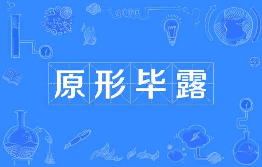 原形毕露（网络语境下暴露真实本质的流行语）