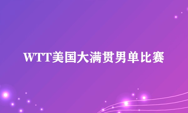 WTT美国大满贯男单比赛