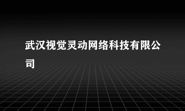 武汉视觉灵动网络科技有限公司
