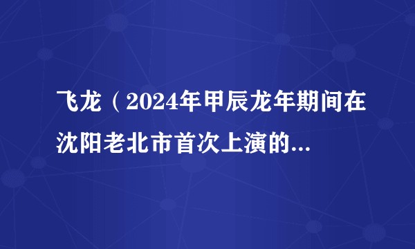 飞龙（2024年甲辰龙年期间在沈阳老北市首次上演的无人机灯光秀表演）