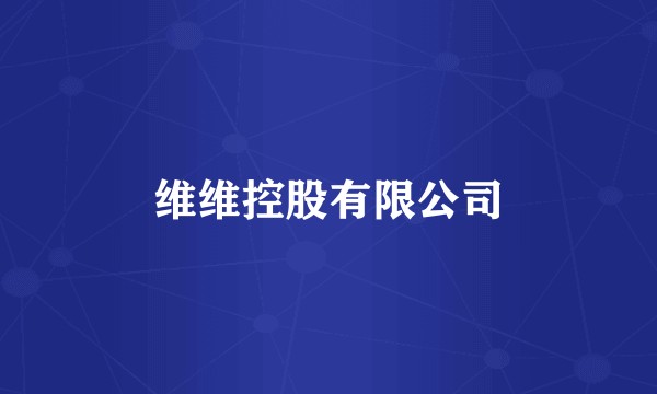 维维控股有限公司