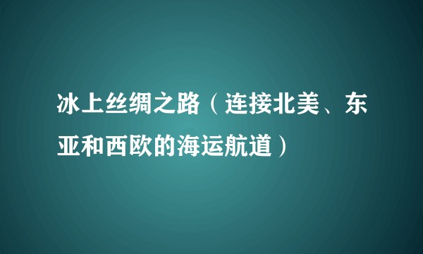 冰上丝绸之路（连接北美、东亚和西欧的海运航道）