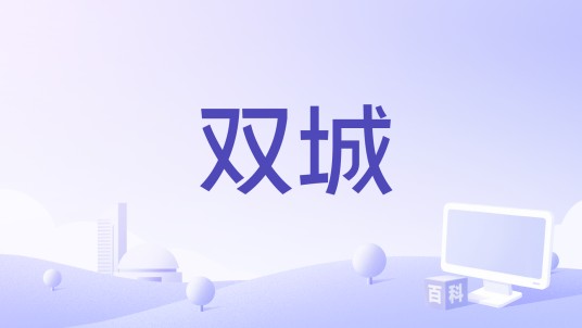 双城（次瓜锦鲤演唱的歌曲）