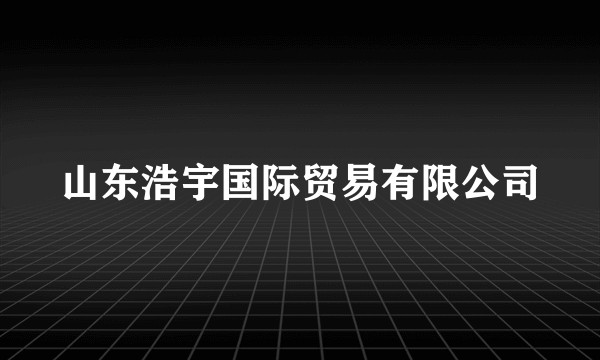 山东浩宇国际贸易有限公司