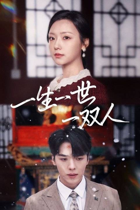 一生一世一双人（武汉博霖文化传媒有限公司制作的微短剧）