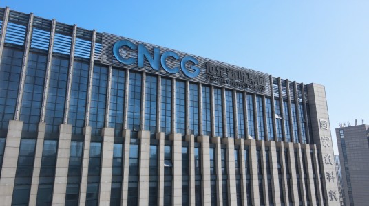 江苏世纪新城投资控股集团有限公司