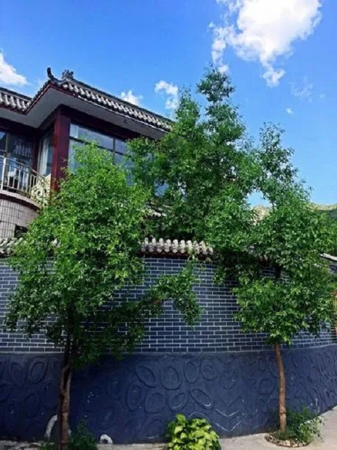 雪儿农家乐