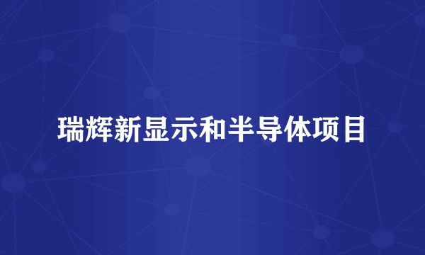 瑞辉新显示和半导体项目