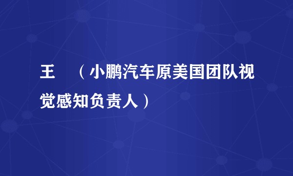 王弢（小鹏汽车原美国团队视觉感知负责人）