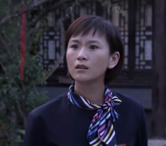 张圆圆（家庭伦理剧《别样幸福》中的角色）