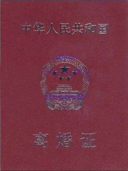 集体离婚