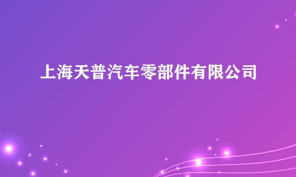 上海天普汽车零部件有限公司