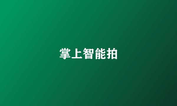 掌上智能拍