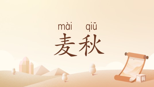麦秋（麦子成熟的季节）