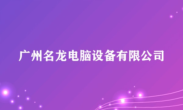广州名龙电脑设备有限公司