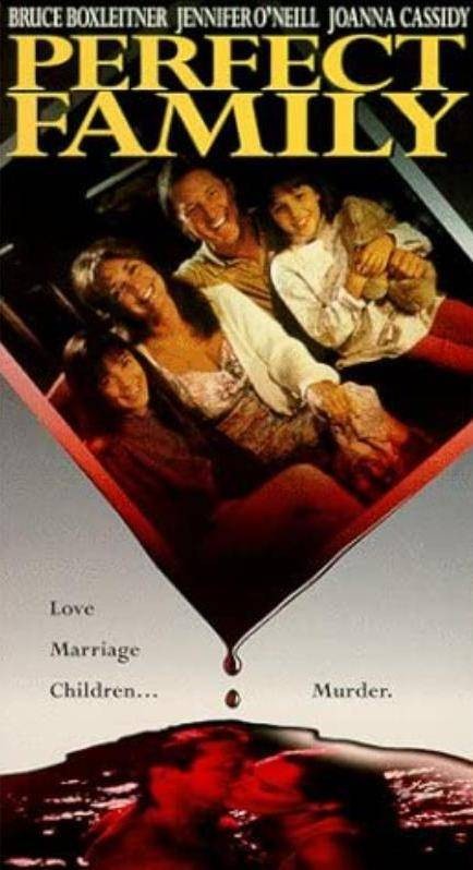 完美家庭（美国1992年肯·欧林执导电视电影）