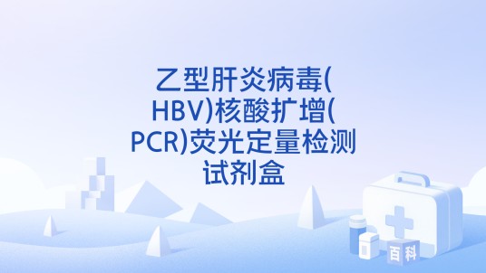 乙型肝炎病毒(HBV)核酸扩增(PCR)荧光定量检测试剂盒