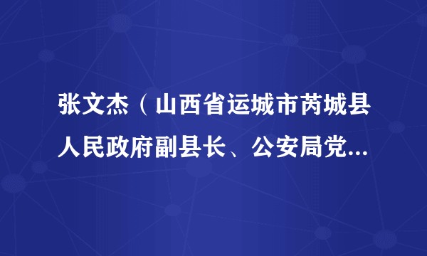张文杰（山西省运城市芮城县人民政府副县长、公安局党委书记、局长）