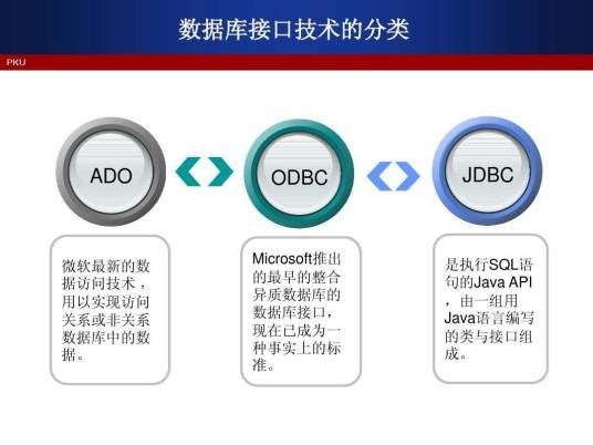 数据库接口