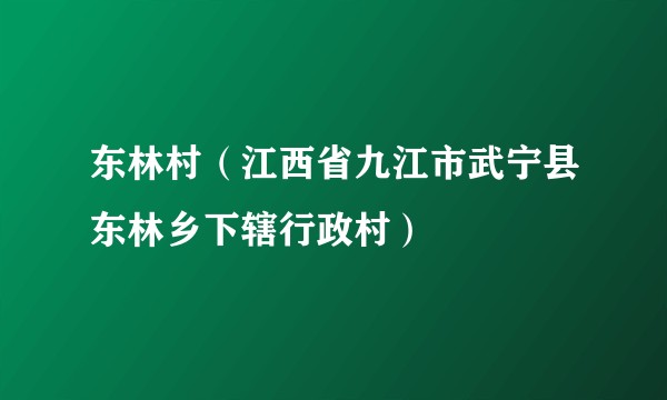 东林村（江西省九江市武宁县东林乡下辖行政村）