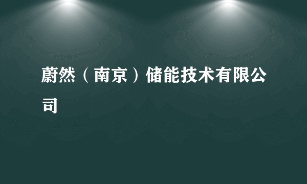 蔚然（南京）储能技术有限公司