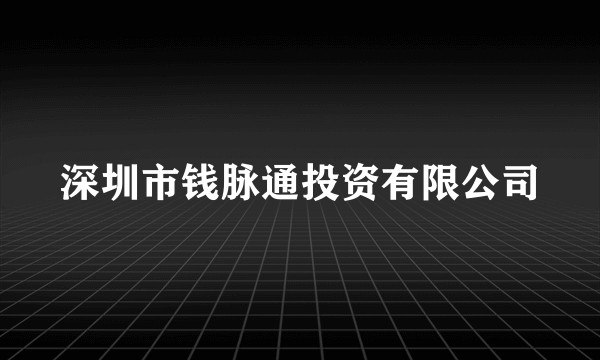 深圳市钱脉通投资有限公司
