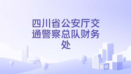 四川省公安厅交通警察总队财务处