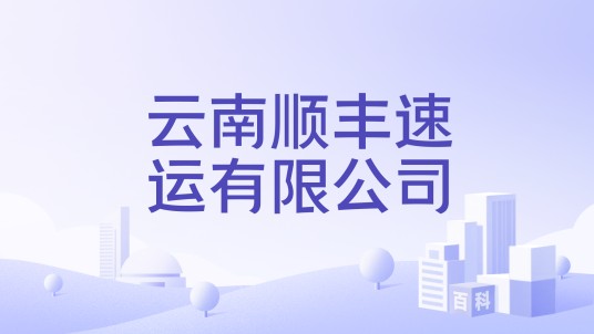云南顺丰速运有限公司