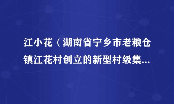 江小花（湖南省宁乡市老粮仓镇江花村创立的新型村级集体经济供销社和农产品品牌）