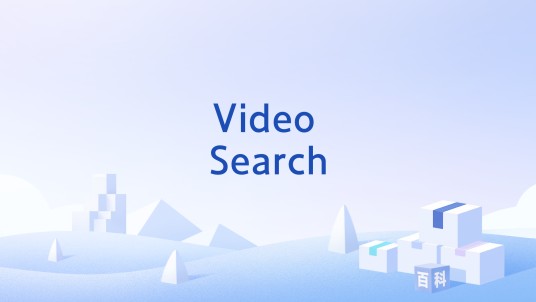 Video Search