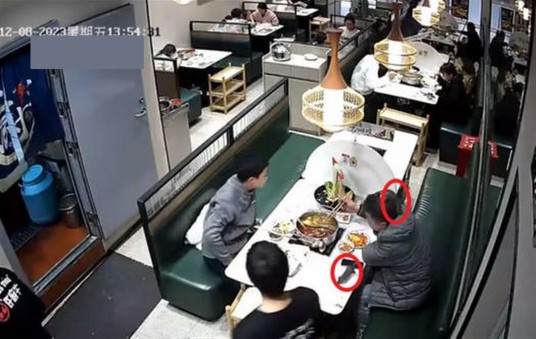 12·8义乌火锅店“天降”老鼠事件