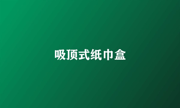 吸顶式纸巾盒