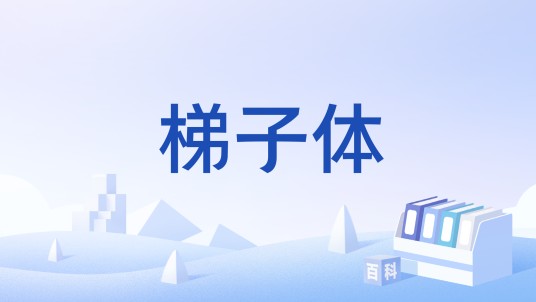 梯子体