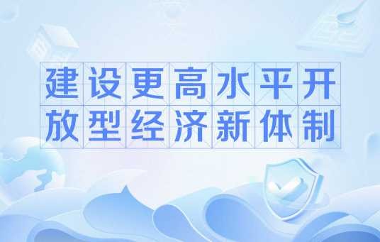建设更高水平开放型经济新体制（经济名词）