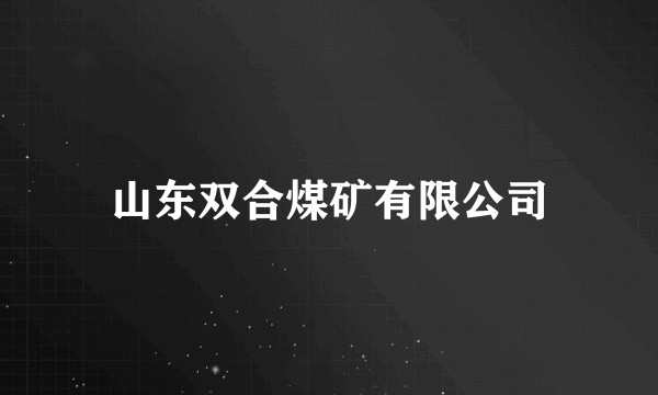 山东双合煤矿有限公司